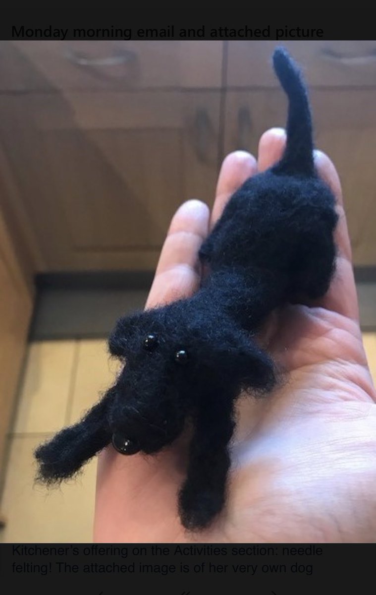 LboroP's tweet photo. Tomorrow morning’s Wellbeing email includes this week’s Activities section= needle felting! Mrs Kitchener’s needle felt dog is incredible. Relaxing, easy &amp; creative! #goodforthesoul #iamherst #pastoralcare https://t.co/SYdhjSvnps