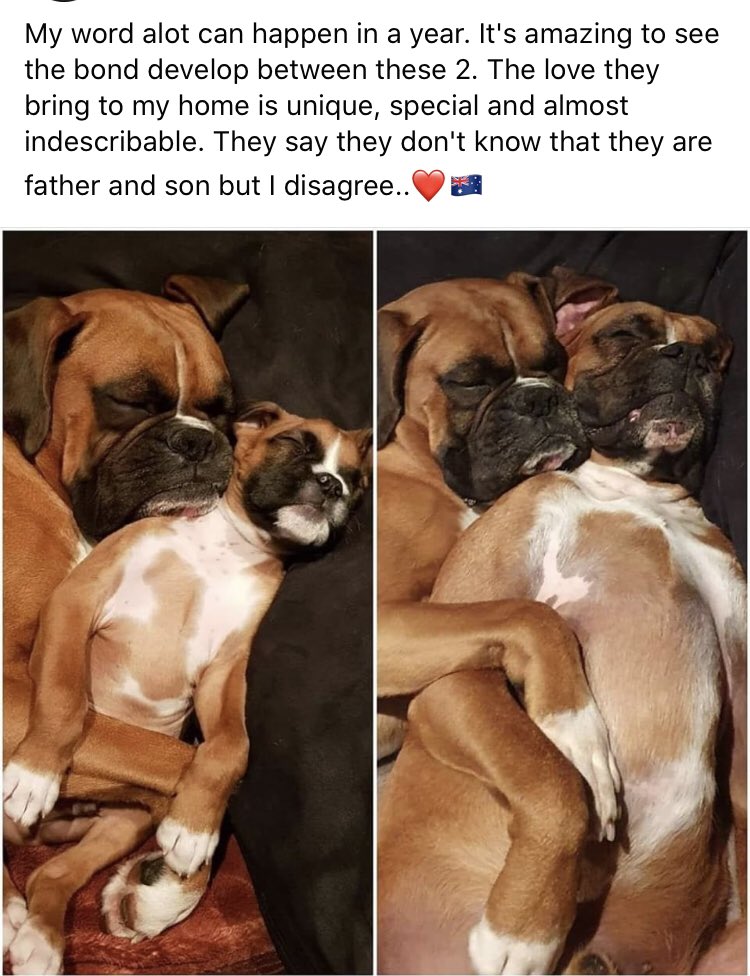 Eric_Tails's tweet photo. C/o facebook. But had to be shared 😍 https://t.co/dH9X3DDoAP