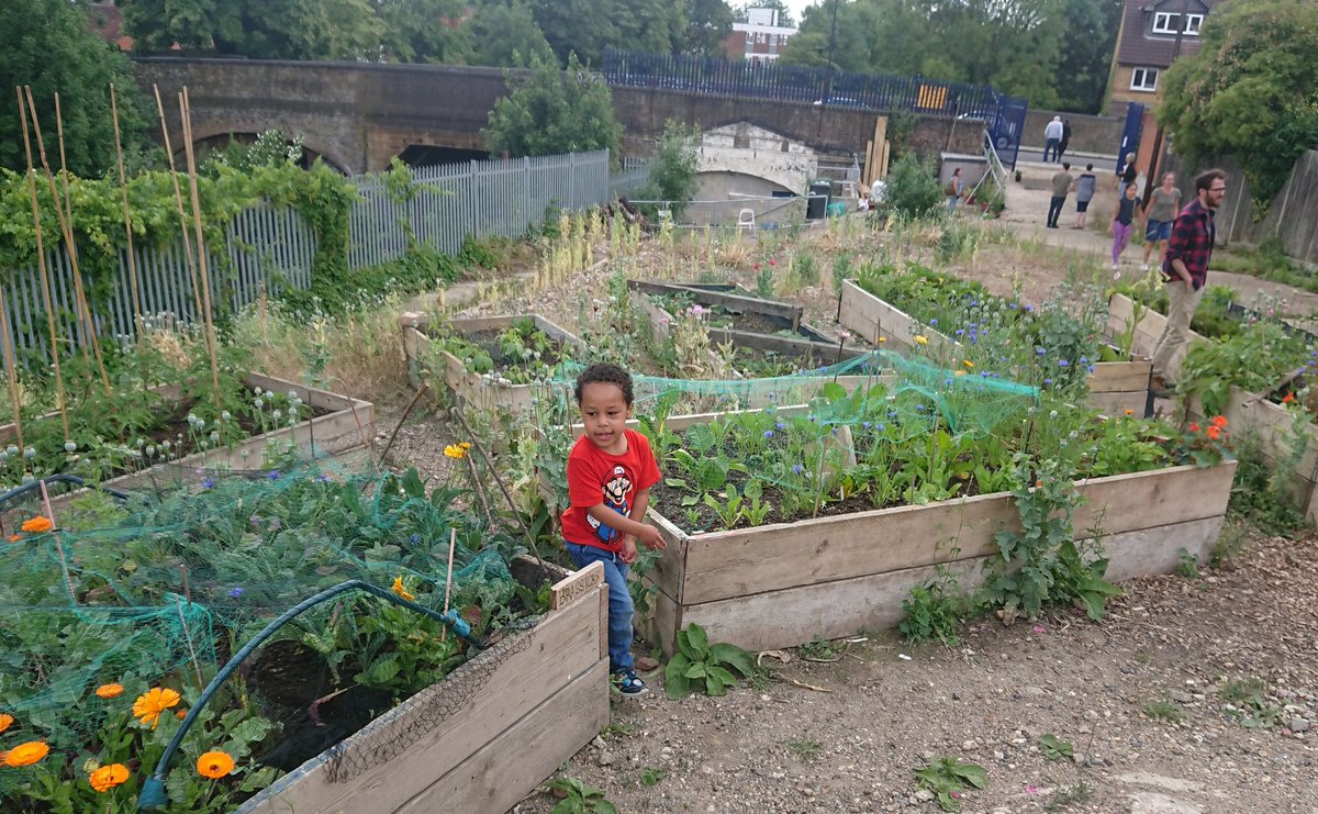 Congrats to residents of Wellfield, Gleneldon &amp; Stanthorpe Roads for organising such a creative &amp; welcoming #lockdown community event. A socially-distanced art trail, plus tour of <a href="/RailsideGarden/">Railside Community Garden SW16</a>. Lovely to see Streatham socially &amp; artistically flourishing!