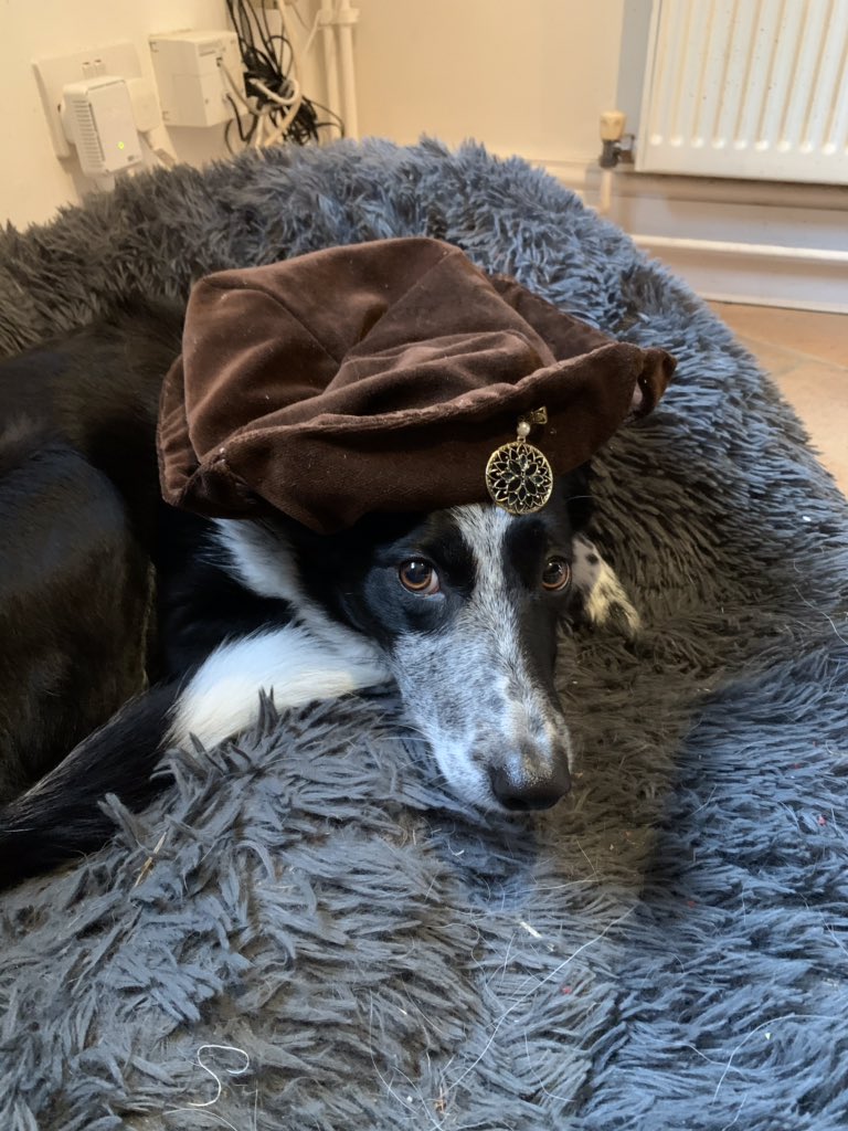 Sunday fun! #focogchallenge and #FOCOGfun including a patched cabbage dragon 😀