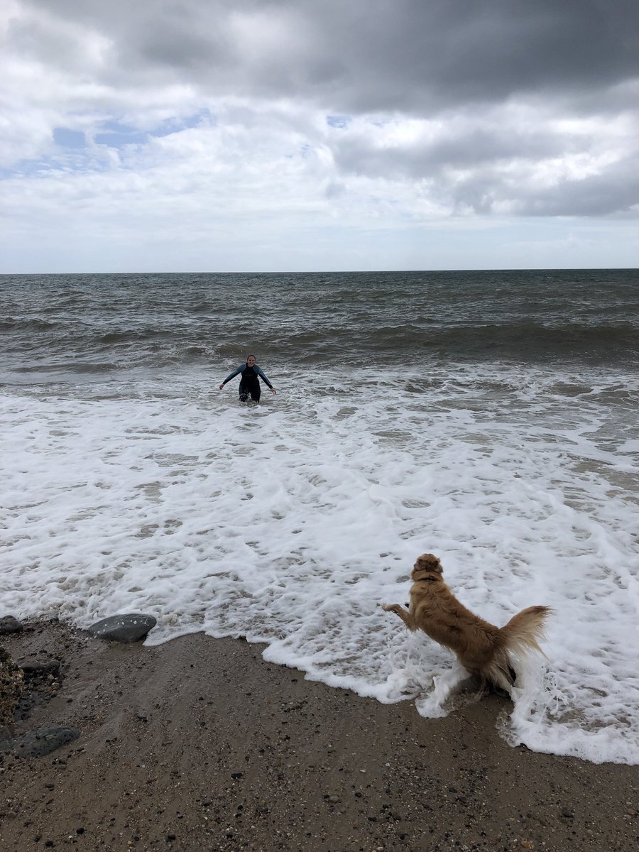 higgsabelle's tweet photo. A lovely Father’s Day picnicking on the beach and Oscar’s 1st raclette 🥰 https://t.co/2zUYD7o3xL