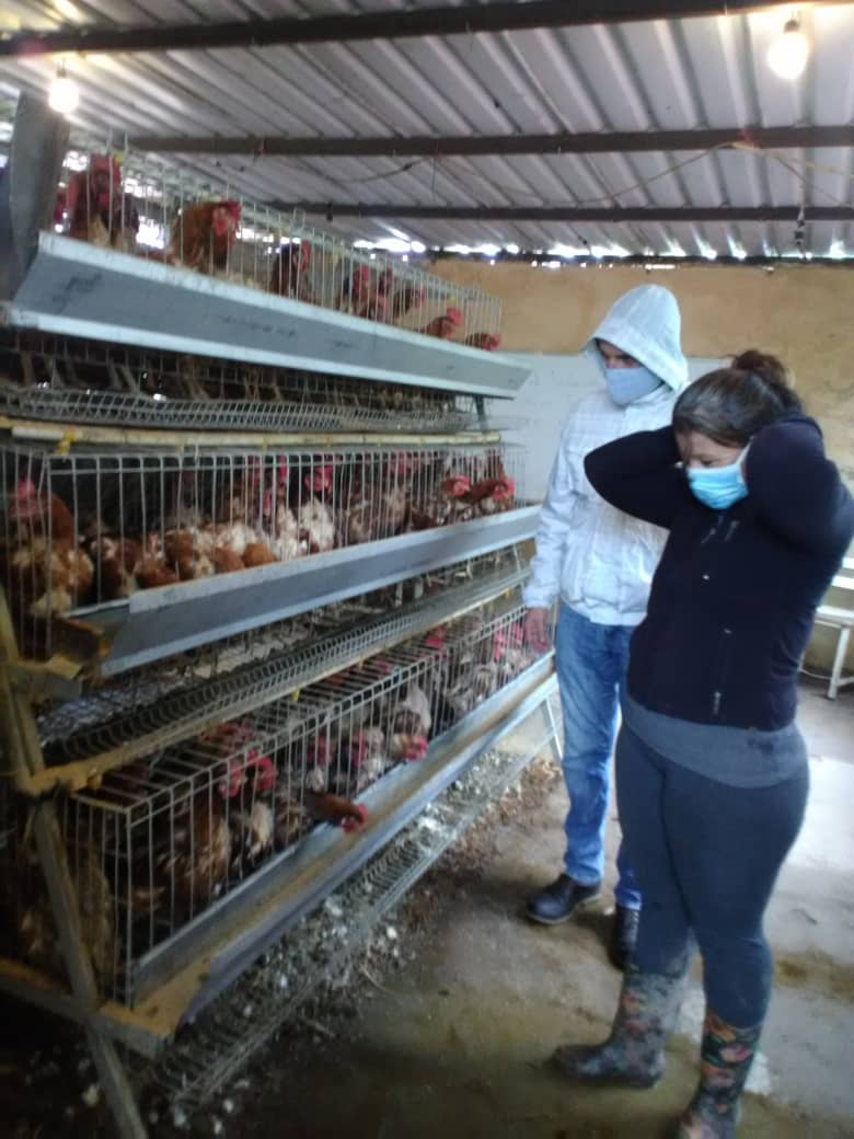 Visita del Supervisor del Circuito Educativo <a href="/Gianduque/">Gian Duque</a> a la @eta5demarzo para verificar el funcionamiento del Plan Avícola Escolar #McpioAndresBello #Tachira @MPPEDUCACION <a href="/charlychaves/">Charly Rojas Chaves</a> @psuvaristobulo