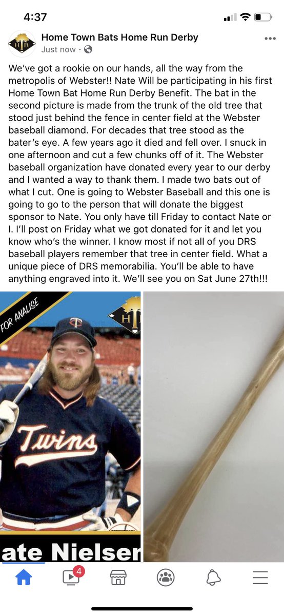 Home Town Bats tweet media
