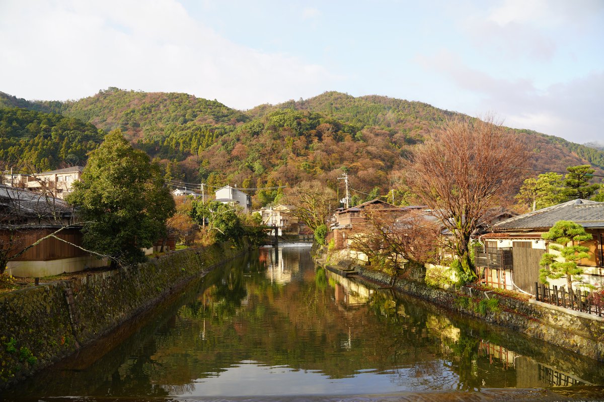 imagegraph2020's tweet photo. #arashiyama #kyoto https://t.co/YjRBQyAQkn