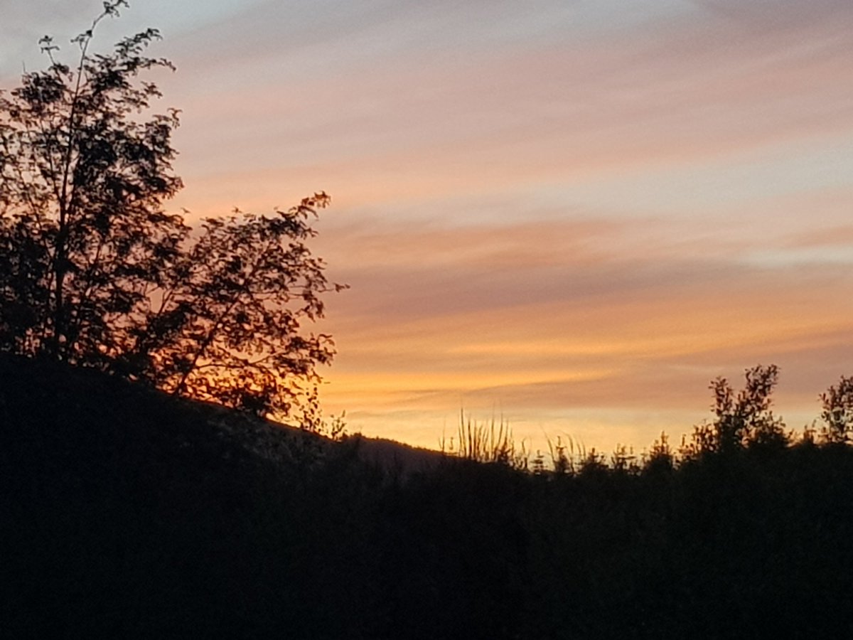 MsDaggsClass's tweet photo. What a beautiful sunset to end the day. Also spotted a bee on the dead nettle in the garden. #30DaysWild #wildwicklow #nature #getoutdoors #headspace https://t.co/4iDM1A7x5M