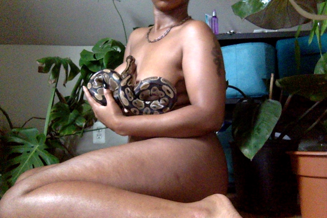 I have a deep appreciation for snakes
$SiDilla
onlyfans.com/afroplantbae