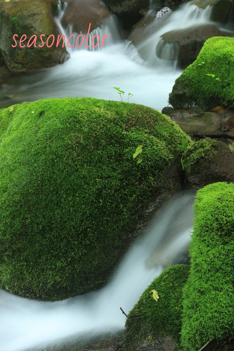 鳥取県日野郡江府町 Hashtag On Twitter