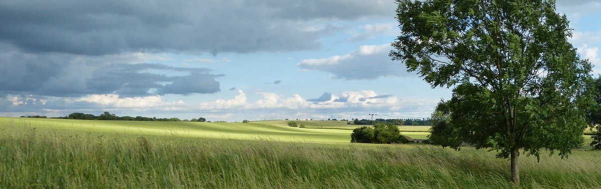 9th walk is from Sawtry to Woodwalton passing the iconic (disused) church of St Andrew. The 10th starts at Woodwalton village green and passes through undulating countryside to finish in Upwood. The walks pass four Wildlife Trust nature reserves <a href="/greatfen/">Great Fen</a> <a href="/wildlifebcn/">The Wildlife Trust for Beds, Cambs & Northants</a>