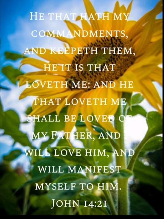 halligperucho's tweet photo. IN JESUS NAME...

#ImRestored
#ImHealed
#ImProtected https://t.co/14PUfW0lIQ