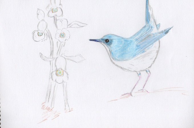 鳥イラストのtwitterイラスト検索結果 古い順 鳥イラストのtwitterイラスト検索結果 古い順