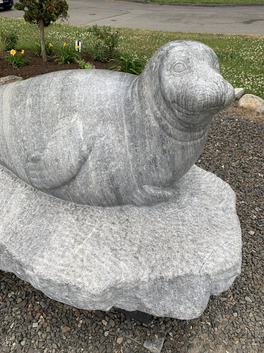 Charlotte Wilder tweet media