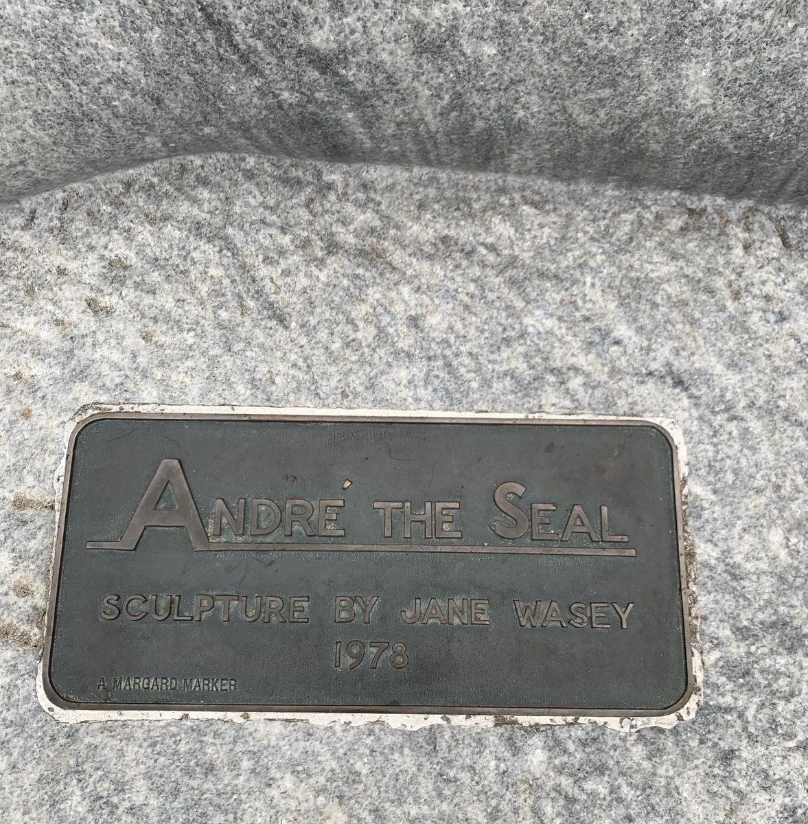 Charlotte Wilder tweet media