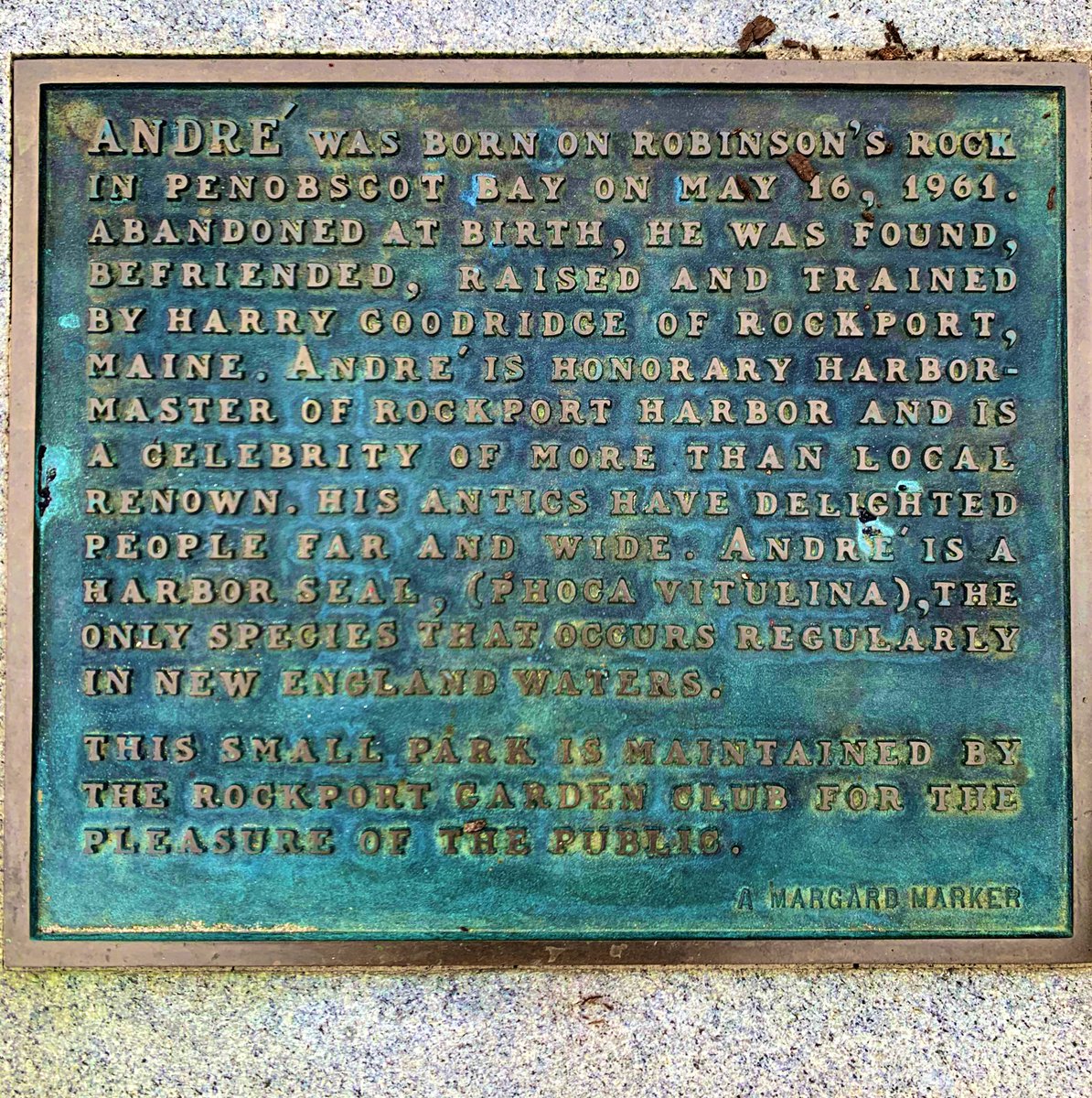 Charlotte Wilder tweet media