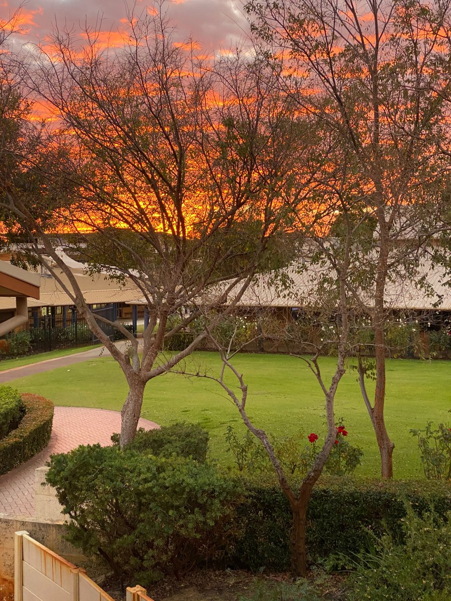 CorpusCCC's tweet image. Happy Monday! 😀 
Check out these beautiful photos taken by our College Dean this morning! 👏 📸 🌅