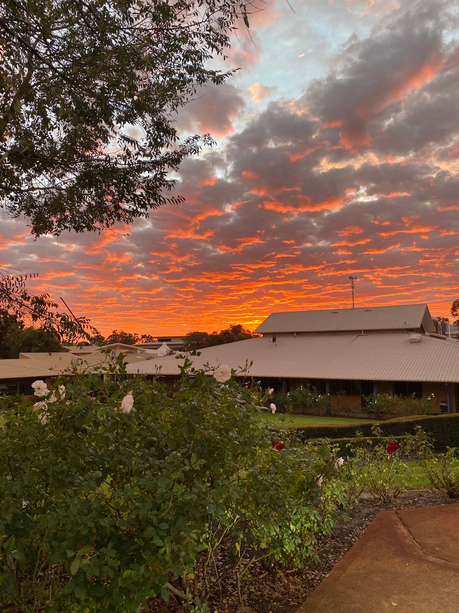CorpusCCC's tweet image. Happy Monday! 😀 
Check out these beautiful photos taken by our College Dean this morning! 👏 📸 🌅