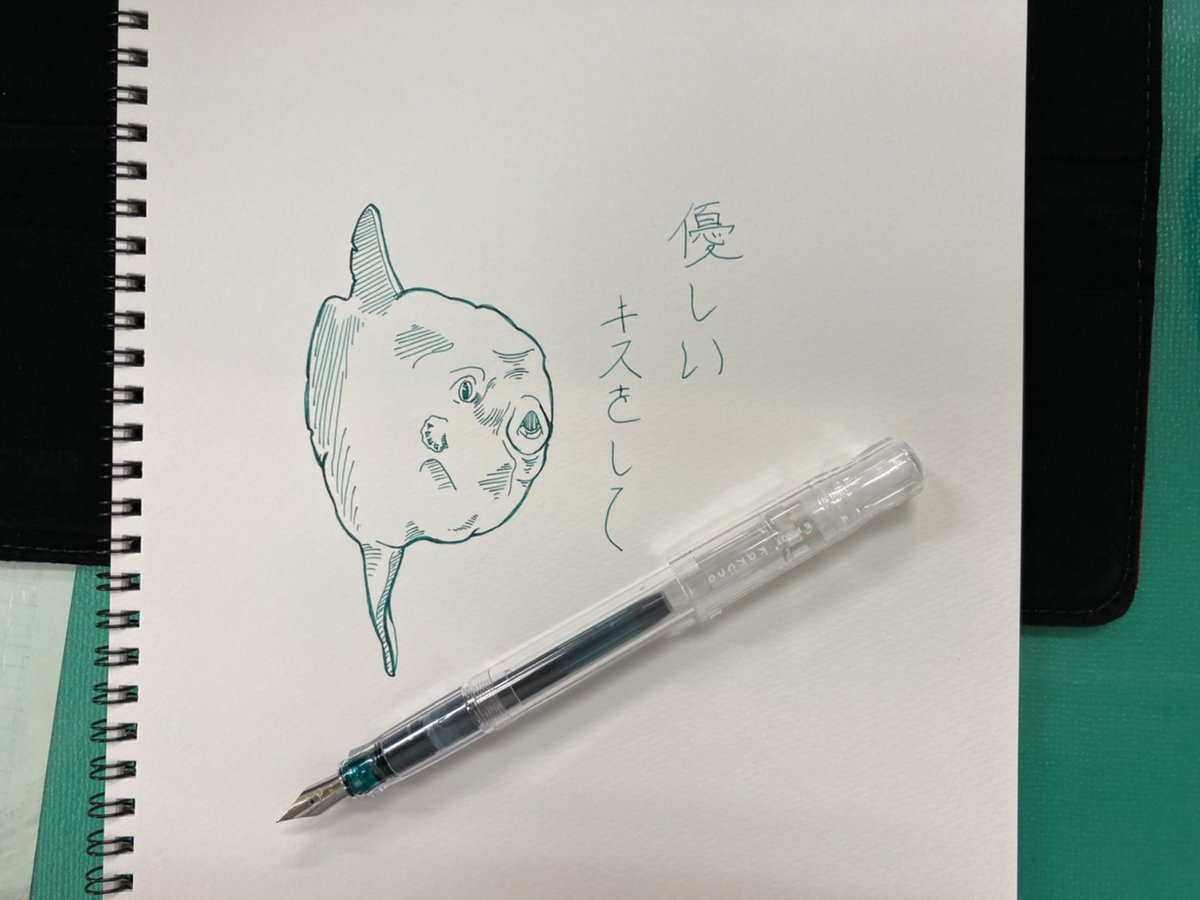 大城書店外商部 大城洋太朗 おはようございます 最近ﾏｽｸ生活が続き 髭を剃らずにいて 娘にチューしたらすんごい嫌がれました ショック 身なりをキチンと致します 本日もよろしくお願いいたします らくがき ｲﾗｽﾄ 万年筆 Pilot