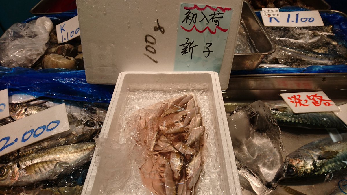 kanda_sasazushi's tweet image. もう出ました❗(。&amp;gt;д&amp;lt;)  早いよ、早すぎる❗100gで¥14,000ですって❗❗(゜ﾛ゜;ﾉ）ﾉ   キロじゅうよんまん……（￣～￣；） #しんこ #今季初  #豊洲市場