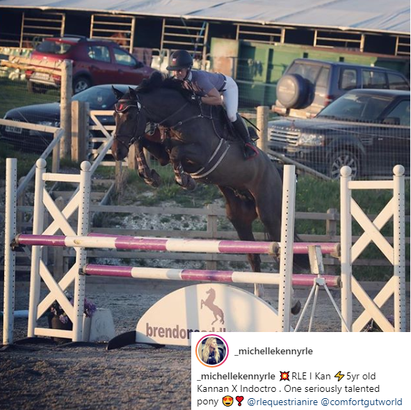 ComfortGutWorld's tweet photo. #ComfortGut can play a role in helping to maintain healthy gastric acid levels and can be fed long term without disrupting acid production which is required to break down food for proper digestion &amp; absorption of nutrients #horsechathour #emeraldbalms #equineblogger https://t.co/q1ZsDjXgBe