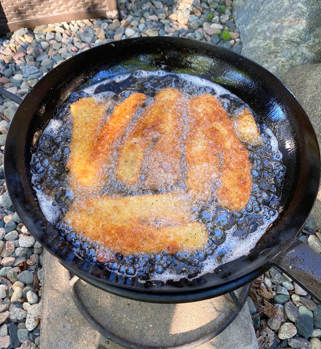 fshinchip's tweet photo. Goal setting and achieving is important!
#catchdinner #walleye #missionaccomplished #yummyinmytummy #HappyFathersDay https://t.co/67HQIAkzXH