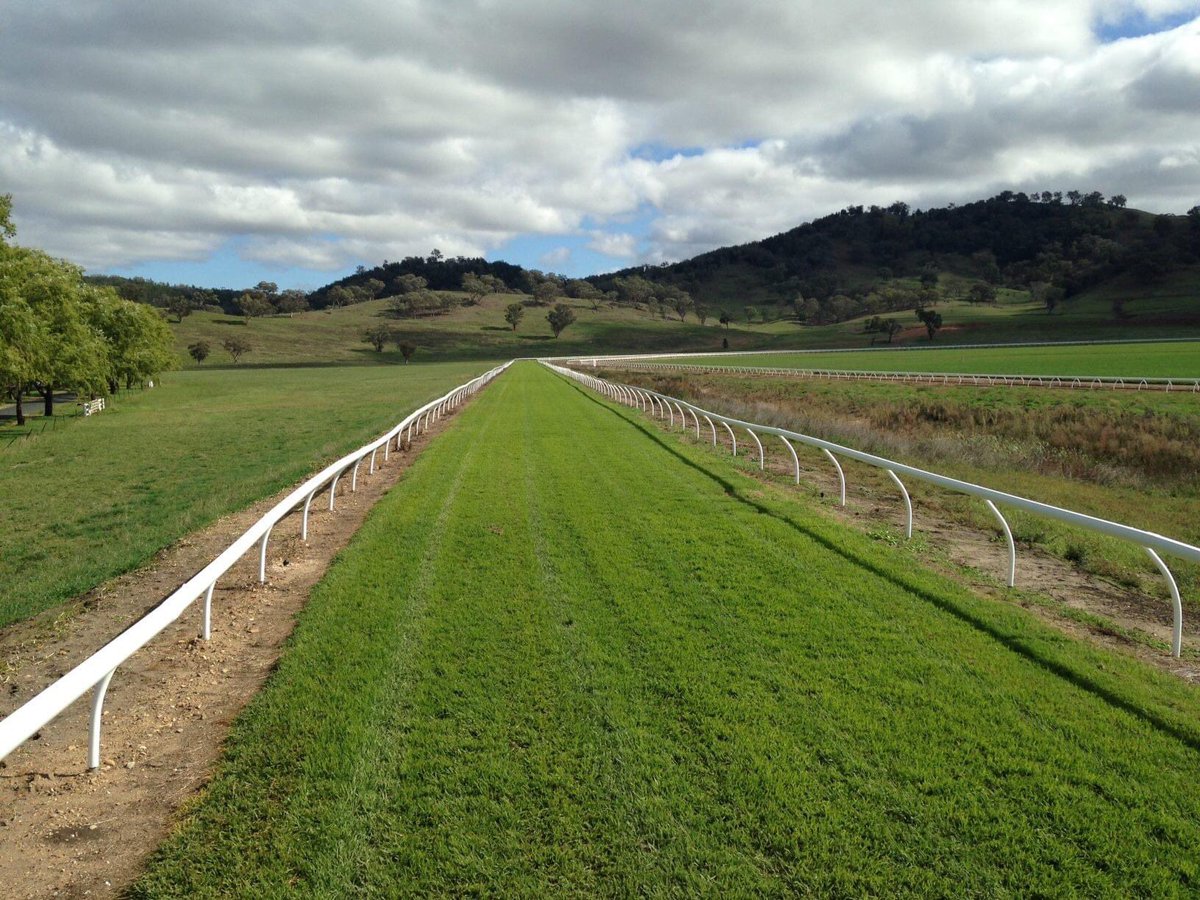 GooreeStud's tweet photo. Gooree’s pre-training facility boasts a grass and sand track the circumference of @rosehillgardens!
Now open to outside clients.
Contact Andrew Baddock
Ph: 0412 685 003
#horsetraining #pretraining #racetrack #racehorses #gooree https://t.co/ABpQtblZJu