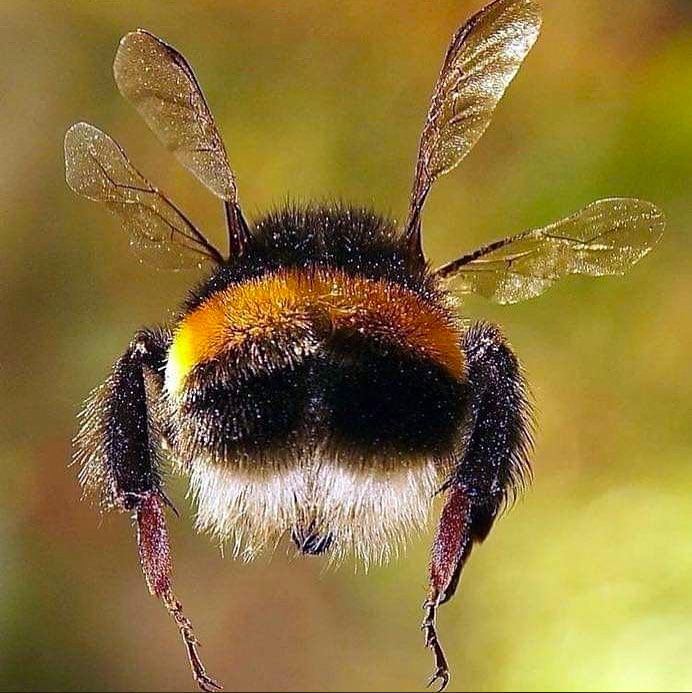 GrowLiv Biologicals Ltd tweet media