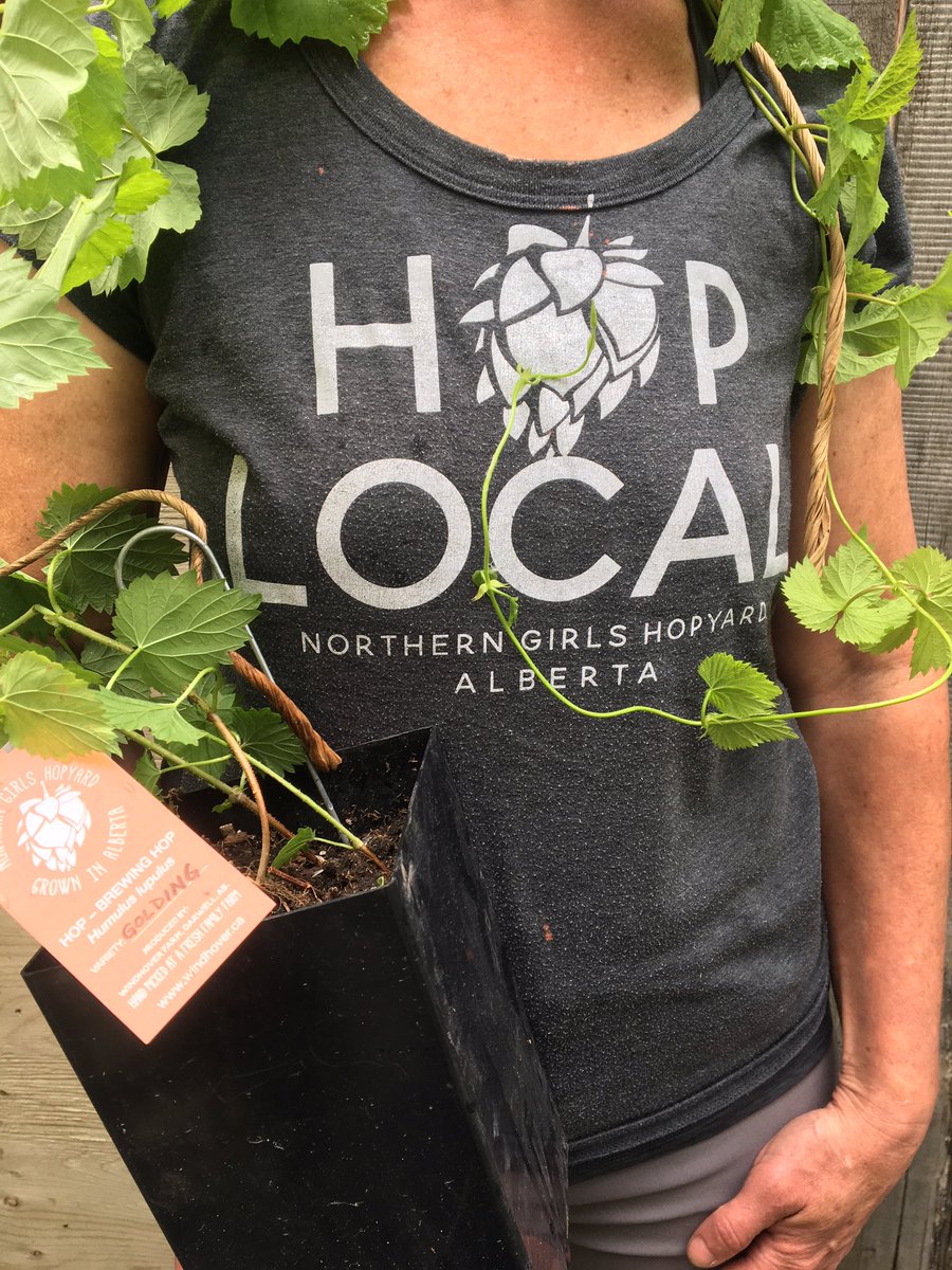 CALGARY! Hop POP-UP: hop plants and hop growing hardware! This Wednesday June 24th, 4 to 7 PM <a href="/annexales/">Annex Ale Project</a>  🌱