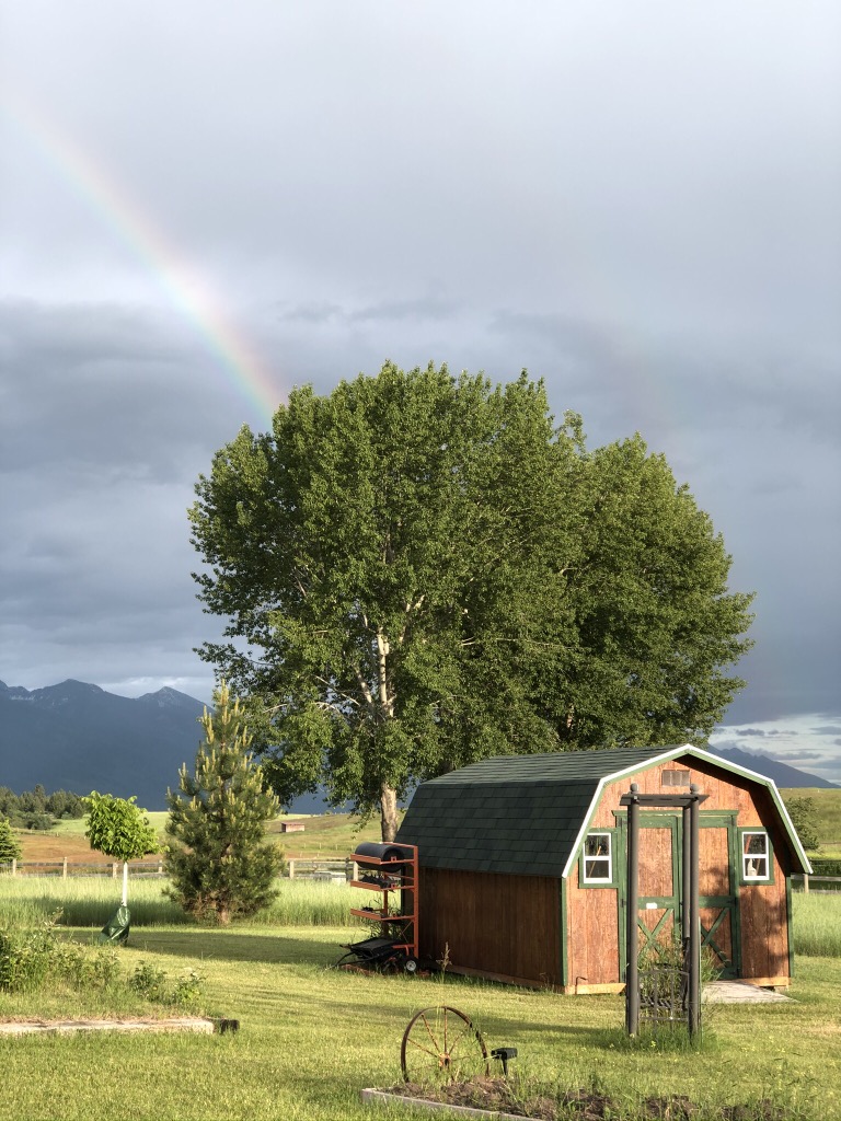 KMaloneySTEM's tweet image. My dad’s side yard in #Montana #missionmountains