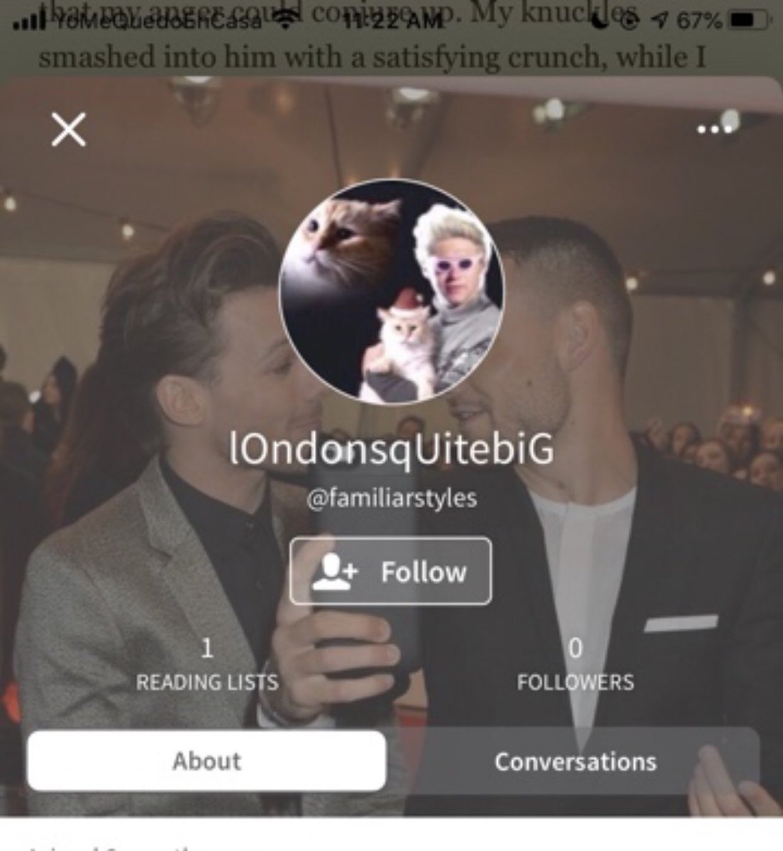 Best wattpad profiles I’ve seen while reading fanfics - a long thread