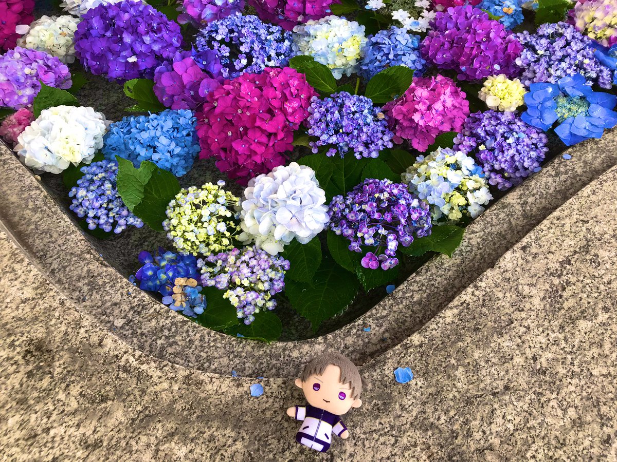 長谷部といっしょ