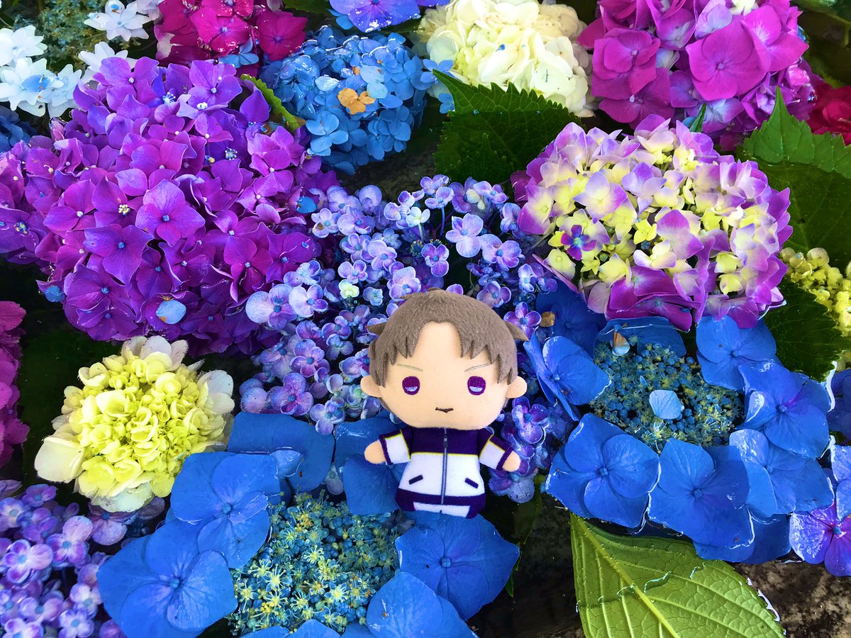 長谷部といっしょ