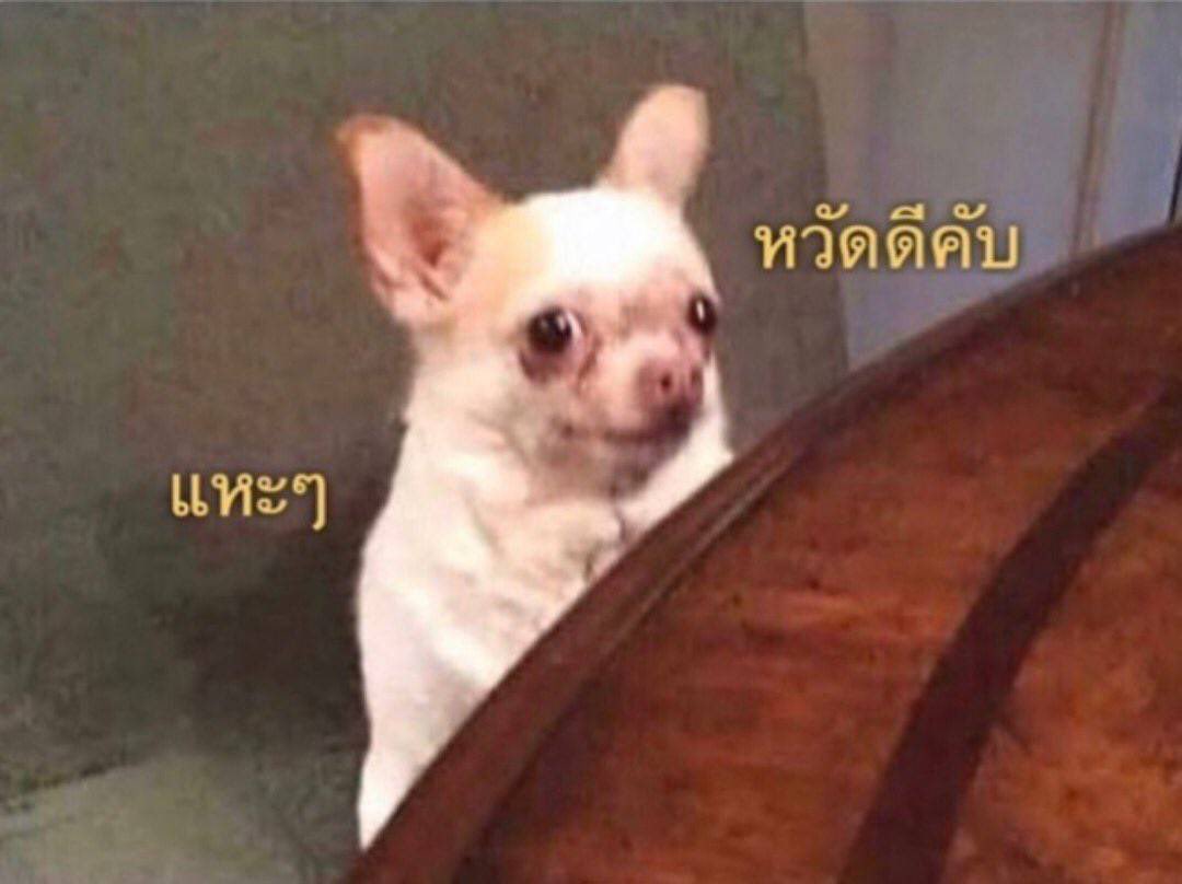 มายเดียร์ @close (@m1nedear) on Twitter photo 