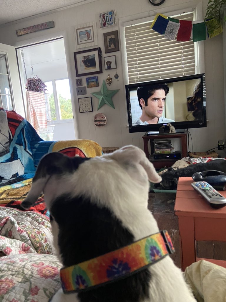 donnersun's tweet photo. @keysmashblog Shortie’s first episode of #TeenWolf 🥰 #TWRewatch https://t.co/3YxSevoimU