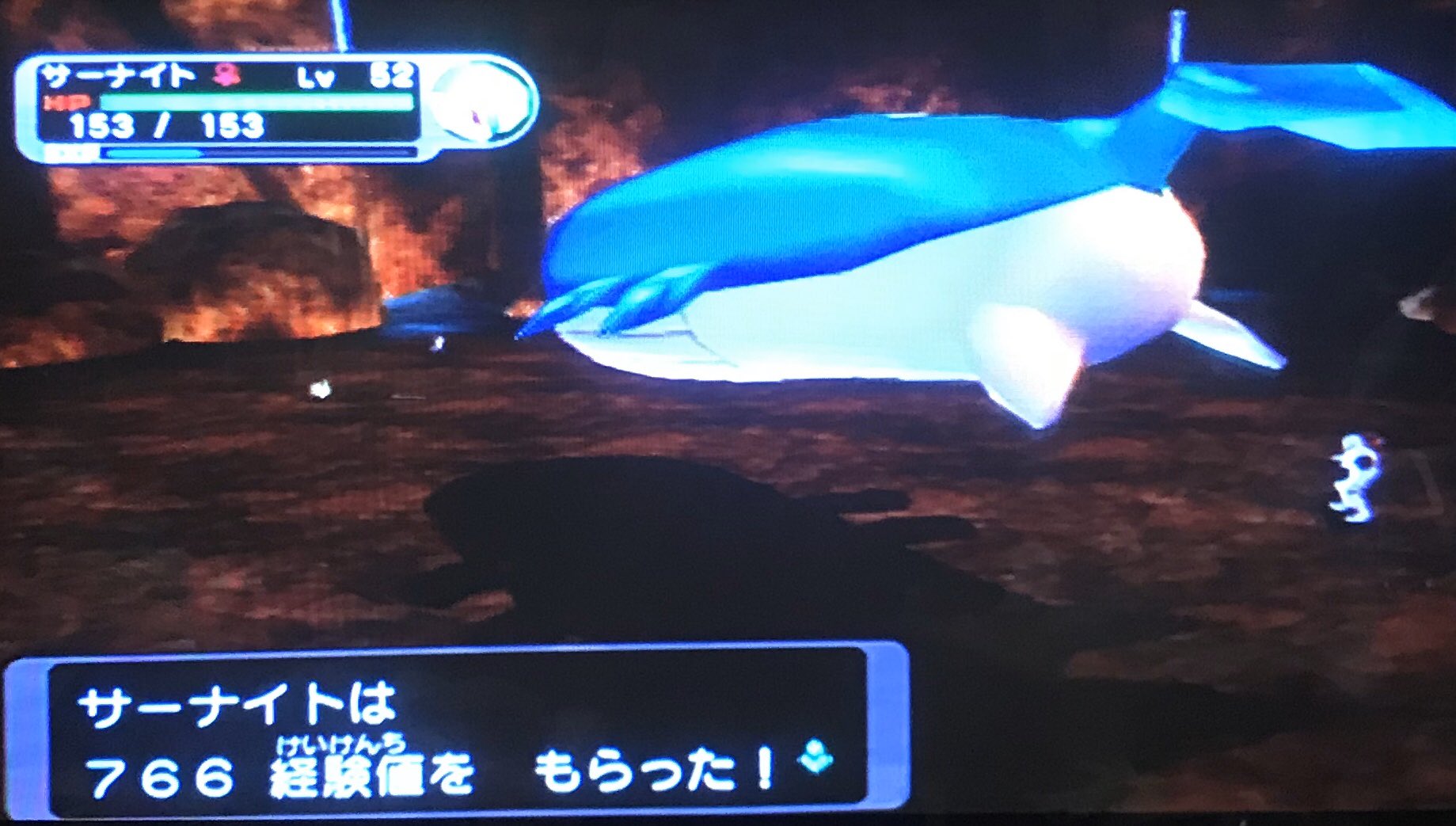 金色ニンジャ spﾚｼﾞｽﾀﾝｽ Auf Twitter やっぱホエルオーはこの大きさじゃないと 剣盾の対戦中のホエルオー小さすぎるんだよな ダークルギア 127 T Co Ssqz1qvfyn Twitter