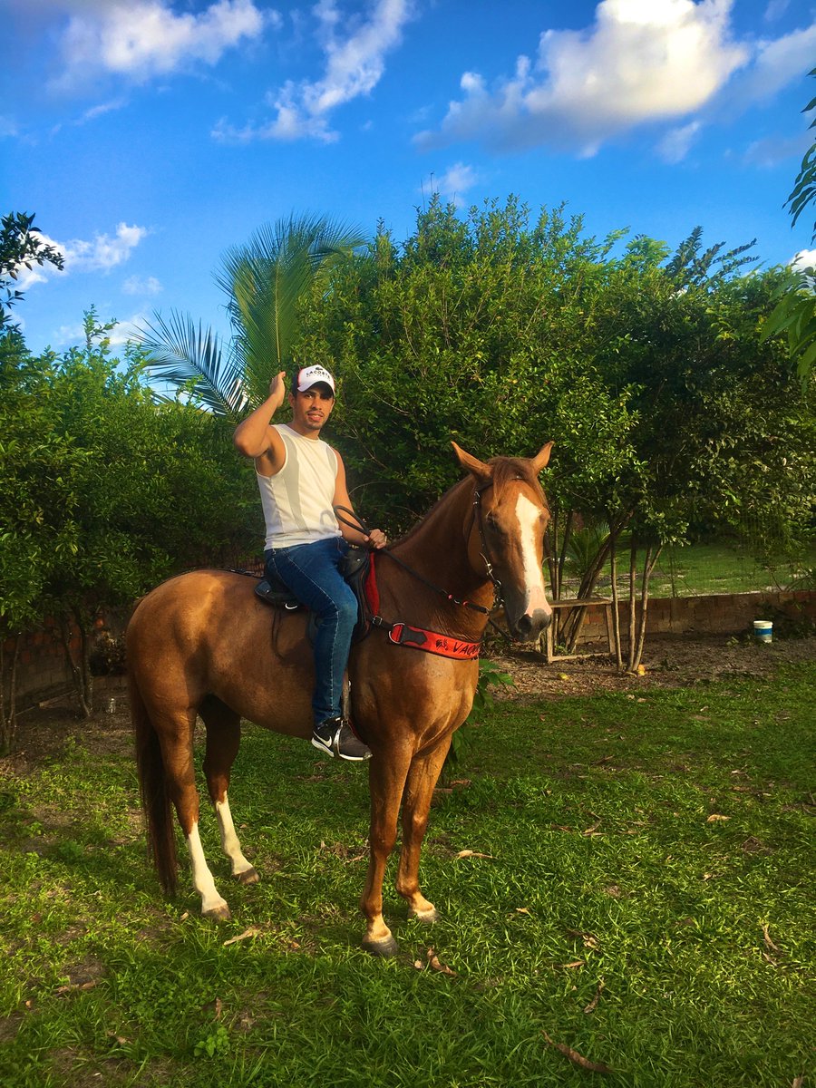 renatofrozz's tweet photo. To muito vaqueiro 🏇🏻#valeuboi #showpapai https://t.co/YnJmSz8Q2B