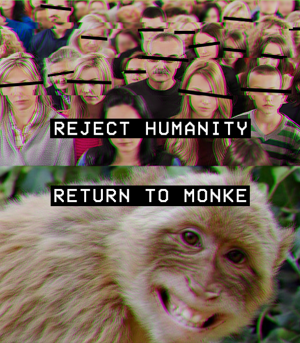 comradepupper's tweet image. 