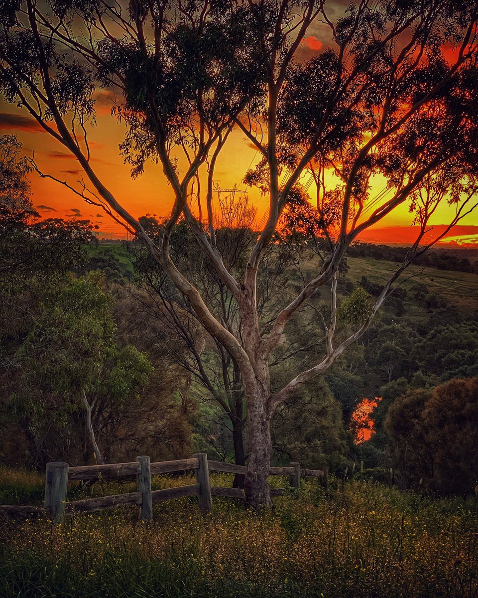 Weekend sunset never looked so good! #brimbankpark #sunset #Melbourne <a href="/StormHour/">#StormHour</a> #sunset