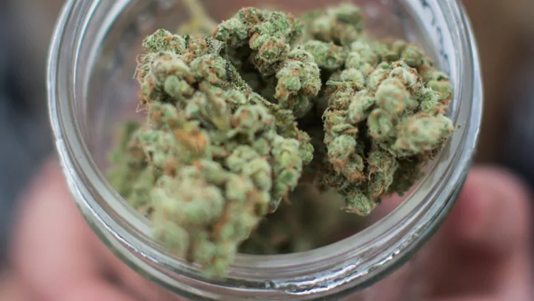 THEMMEXCHANGE's tweet photo. Cannabis was legalized 20 months ago. But it appears to be business as usual for Vancouver's illegal Cannabis shops 

  https://t.co/nslYNO5GDr #MME #marijuana #cannabis #Canada #Vancouver https://t.co/26KudrC06M