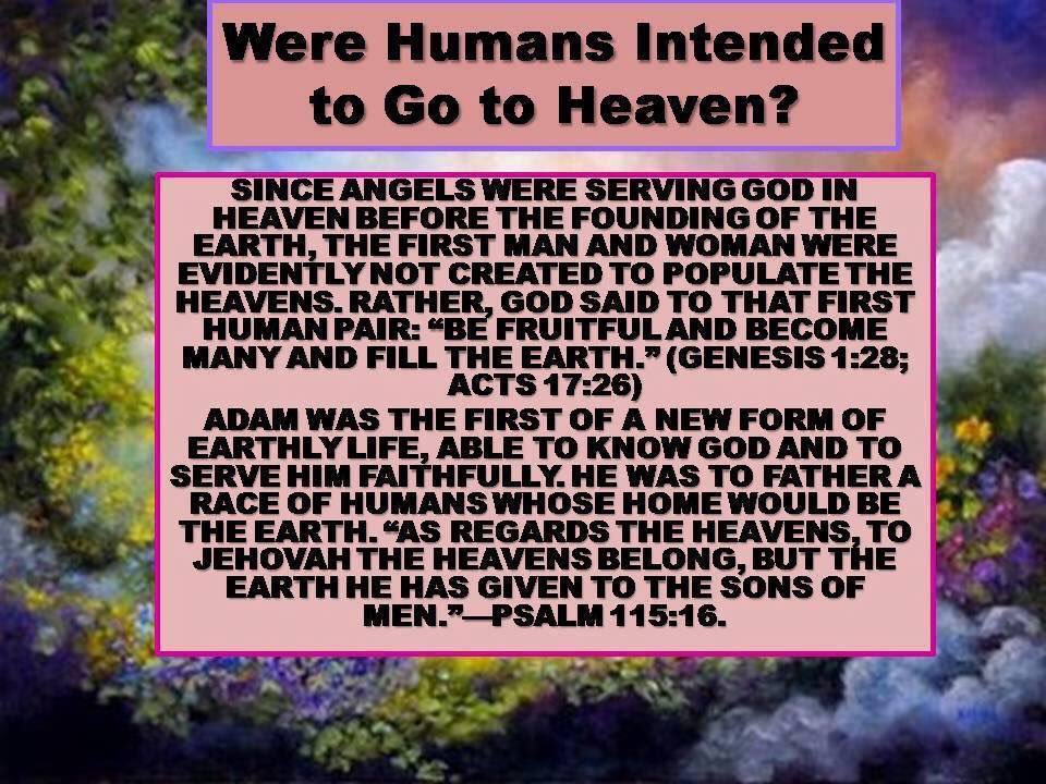 Sagesavant's tweet photo. The Bible tells of GOOD NEWS for the righteous ones during armageddon - when all evil is removed from earth. What does the Bible say will happen afterward?  https://t.co/4xxIbZeAyy https://t.co/UPysDhsfRb