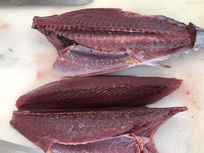 魚屋が教える カツオの鮮度 脂の見方とは 美味しい個体の見分け方を徹底解説 まるなか大衆鮮魚