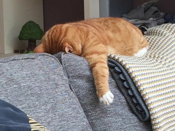 hum ok vou ler o teorema katherine