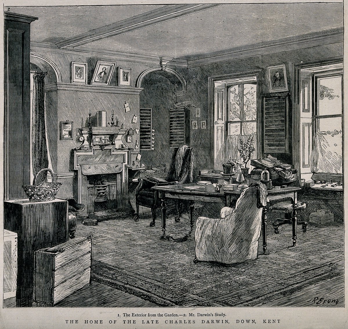 We were fascinated by Darwin family photos scattered about the cluttered Victorian-era rooms on the ground floor of Down House. I was inspired to read the sensitive & engaging account of Darwin's family life, “Annie’s Box”, published by his great-great-grandson, Randal Keynes./6