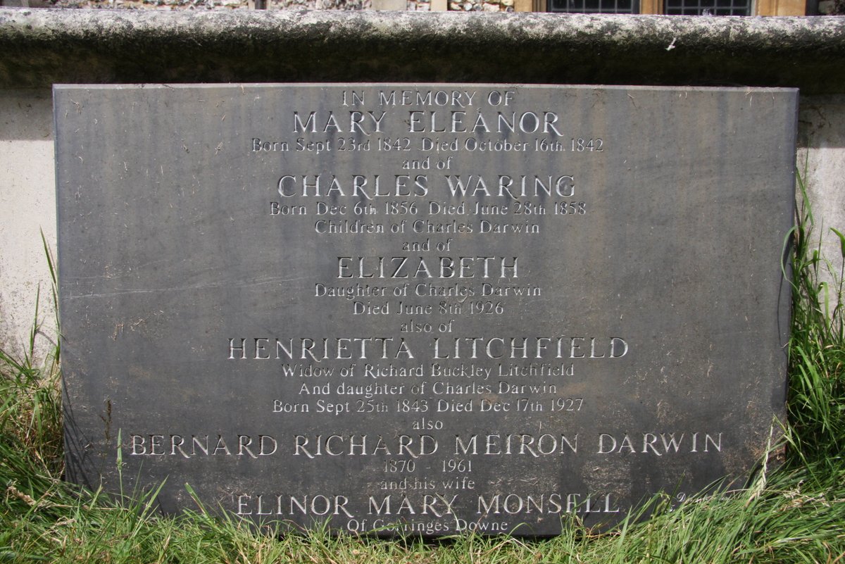 By all accounts, Darwin & his wife - first cousin Emma Wedgewood - enjoyed a close, warm, & generally happy domestic life at Down House, limited by Charles' poorly-defined chronic ailments (possibly Chagas disease from his Beagle voyage) & premature deaths of 3 of 10 children./7