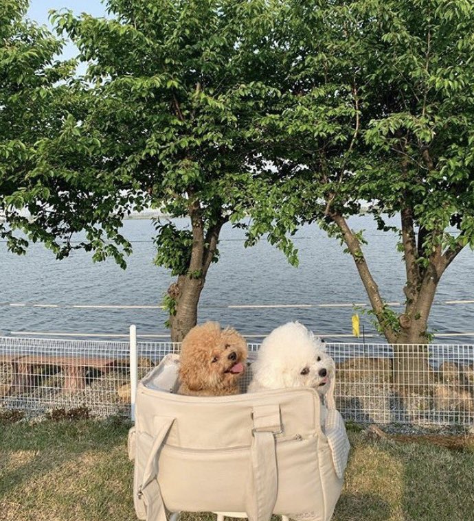 they’re best friends