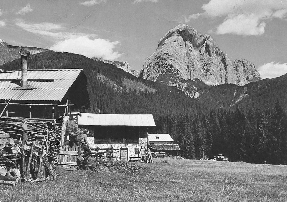 cartolinedalli1's tweet photo. Val Visdende, Costa d'Antola #dolomiti #peralba https://t.co/PQ8rmIPbwV