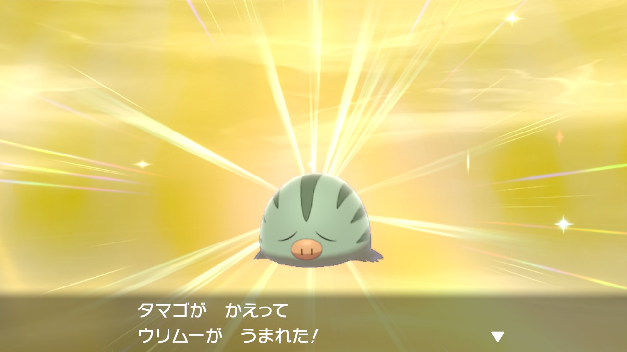 ほーく ポケモン剣盾 Nintendoswitch 卵から色違いのウリムー 今はマンムーに進化してる T Co N7l6zdskpn Twitter