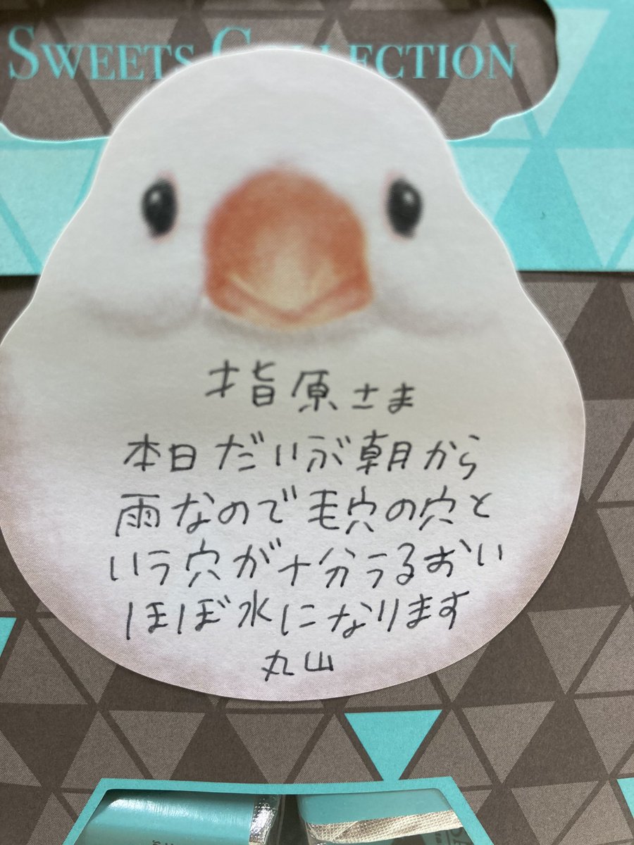指原莉乃が受け取った手紙 謎すぎる内容に 暗号みたい かわいい Sirabee