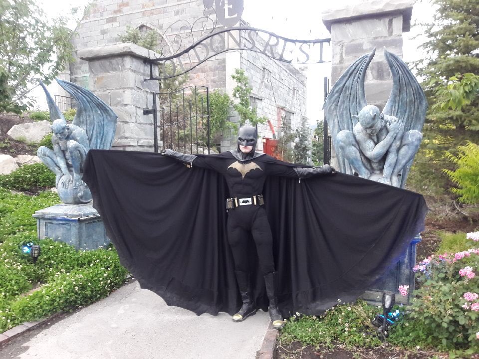 Bat_Poppy's tweet photo. New look https://t.co/XpHi5SiihY