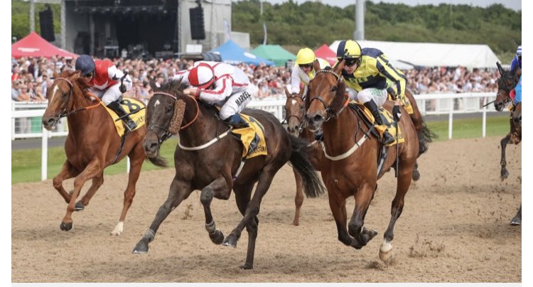 Entries close midday for @Betfair #NorthumberlandPlate & Vase @NewcastleRaces Saturday’s card also includes a condensed 3 days roled into one: x2 Group 3’s (Hoppings Fillies over 1m2f, Chipchase over 6f), The Gosforth Park Cup Class 2 5f. (Featured @PonsonbyHenry #WhoDaresWins)