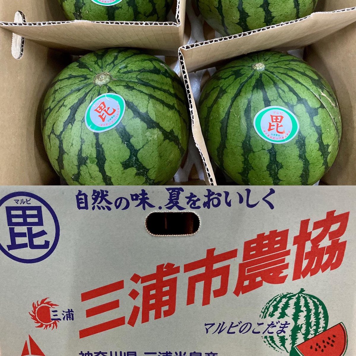 なすび丸 アルティメット荒波 牛刀180mm – 丸章工業公式オンラインショップ