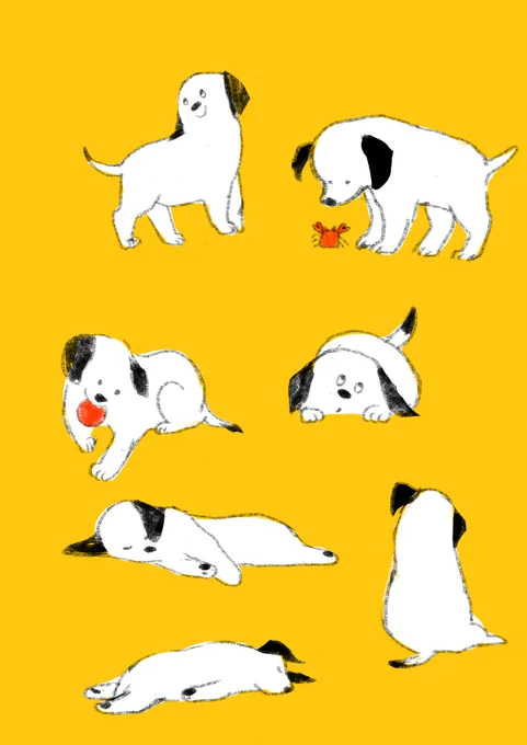 #カニの日 カニを警戒する犬 